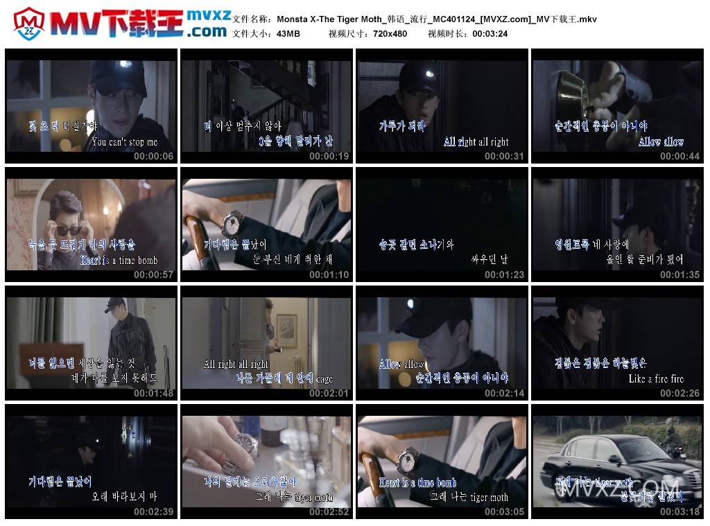 Monsta X-The Tiger Moth_韩语_流行_MC401124